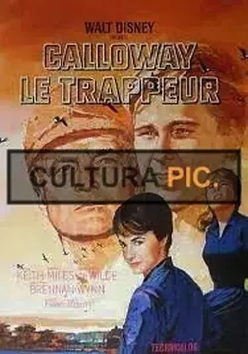 Cinema Poster of Film "Those Calloways" by Norman Tokar, a Walt Disney Production - 1965