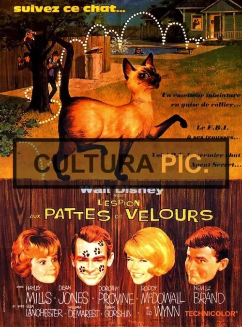 Cinema Poster of Film "That Darn Cat!" by Robert Stevenson, a Walt Disney Production - 1965