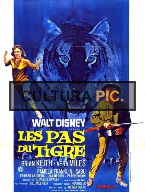 Cinema Poster of Film "A Tiger Walks" by Norman Tokar, a Walt Disney Production - 1964