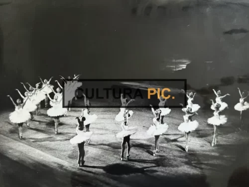 Vintage Original B&W Photo, Ballet Performing the Swan Lake - 1877
