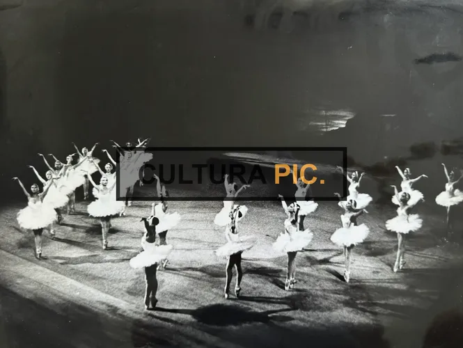 Vintage Original B&W Photo, Ballet Performing the Swan Lake - 1877