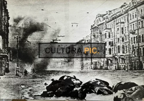 Vintage Original B&W Photo, the Siege of Leningrad in 1944