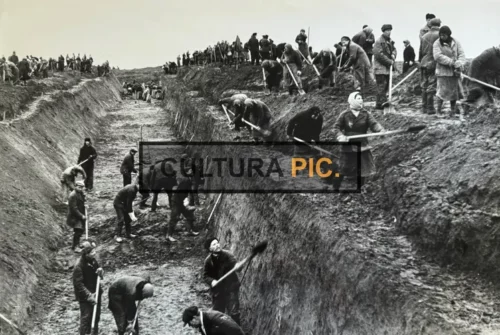Vintage Original B&W Photo, Muscovites Anti-tank Ditches in Moscow Region during WWII - 1941