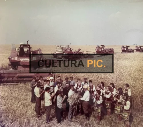 Vintage Original Photo, the Industrial Base and Granary of the Soviet Union - 1959