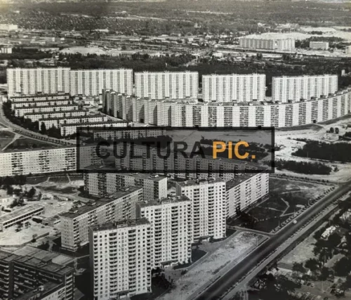 Vintage Original B&W Photo, the Development in the Leningrad Periphery - 1980