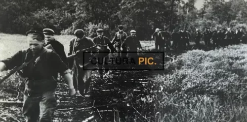 Vintage Original B&W Photo, the Zaporizhie Partizans WWII - 1941